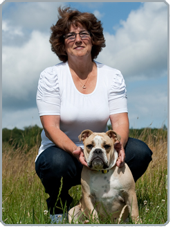 Die Hundeschule Spessert w&uuml;nscht allen ein sch&ouml;nes Weihnachtsfest