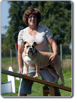 Die Hundeschule Spessert w&uuml;nscht allen ein sch&ouml;nes Weihnachtsfest